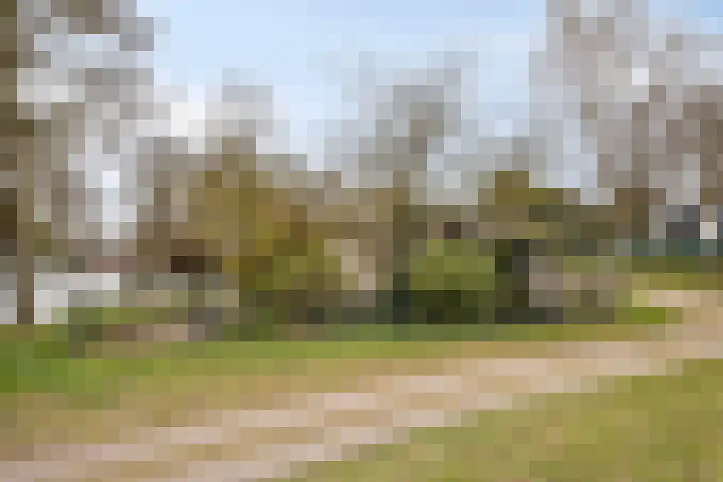 De Peel 13 j 85 Heel thumbnail 20