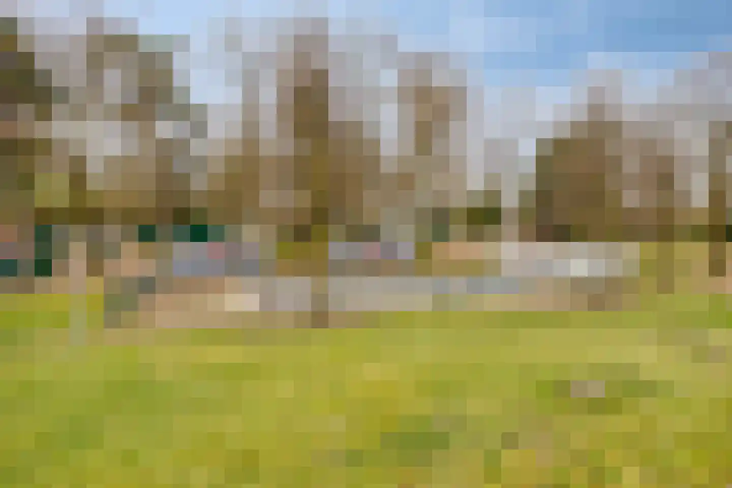 De Peel 13 j 85 Heel thumbnail 23