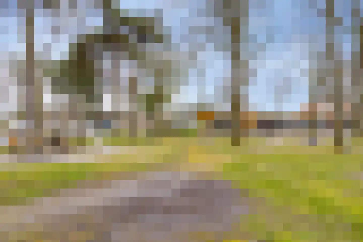 De Peel 13 j 85 Heel thumbnail 5