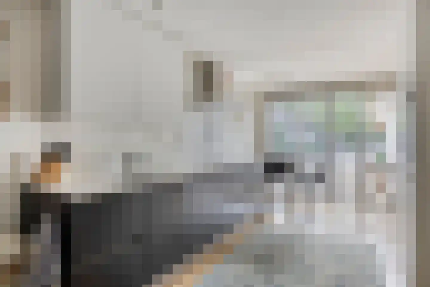 De Peel 8 Kesteren thumbnail 21