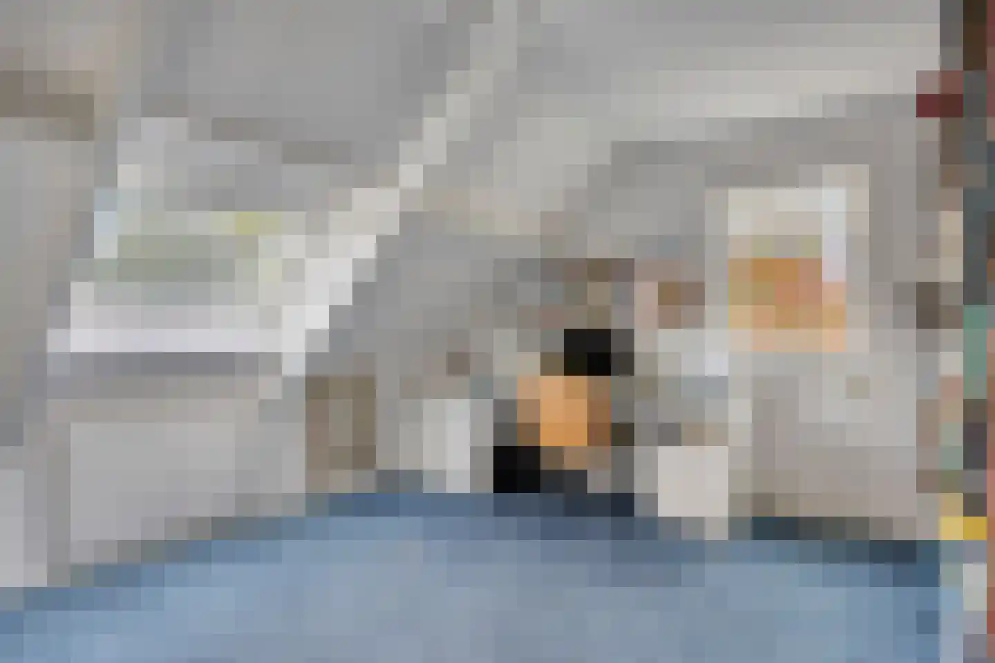 De Peel 8 Kesteren thumbnail 36