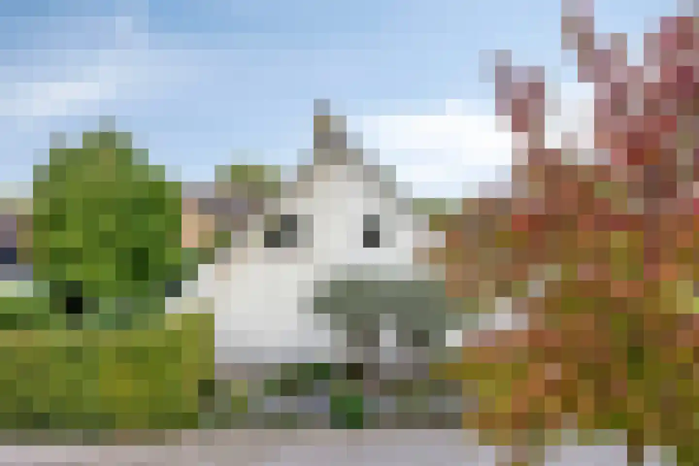 De Peel 8 Kesteren thumbnail 47