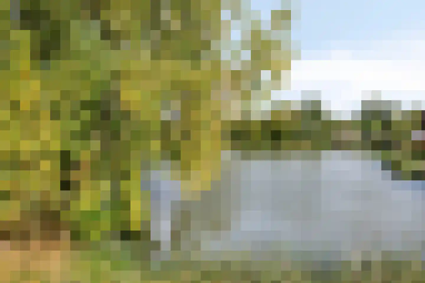 De Peel 8 Kesteren thumbnail 51