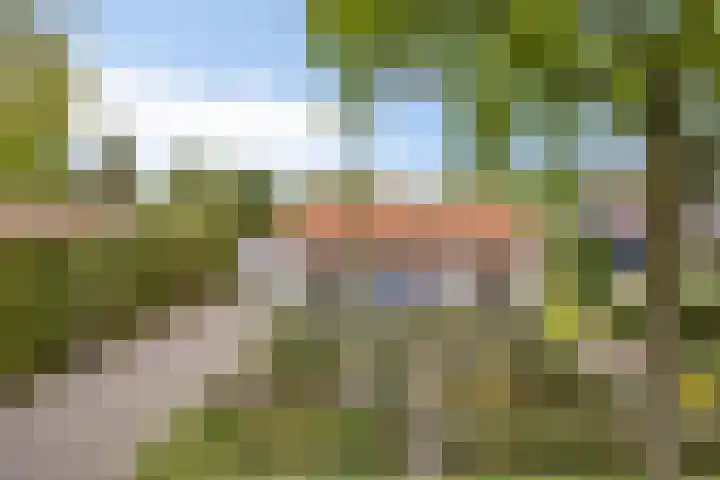 De Peeldijk 11 Aarle-Rixtel thumbnail 11