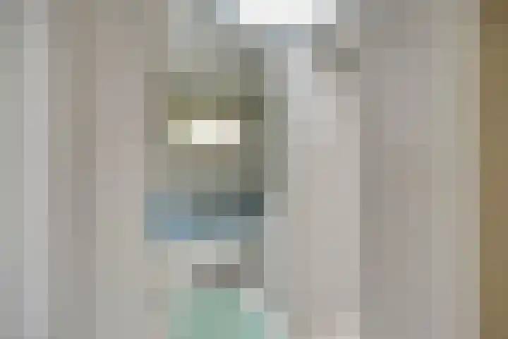 De Peeldijk 11 Aarle-Rixtel thumbnail 32