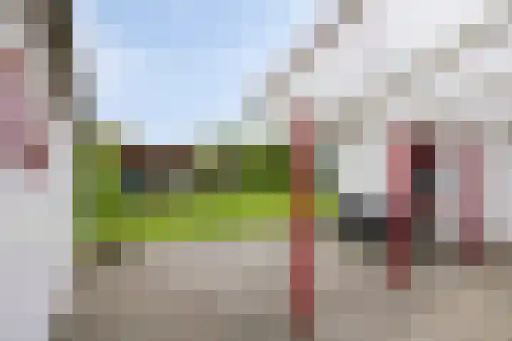 De Peeldijk 11 Aarle-Rixtel thumbnail 39