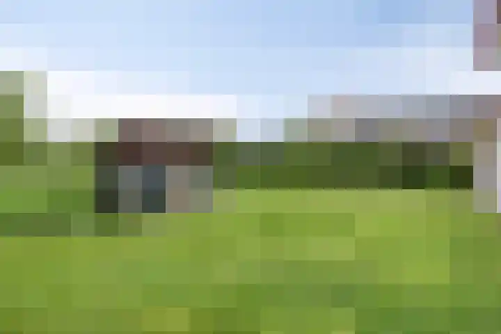 De Peeldijk 11 Aarle-Rixtel thumbnail 4