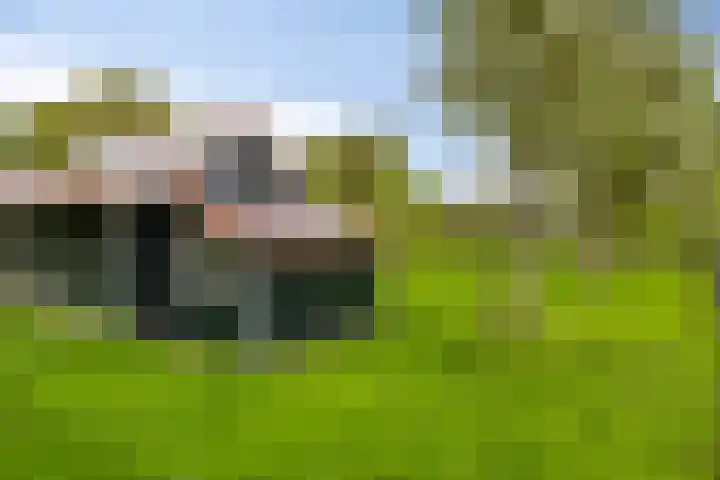De Peeldijk 11 Aarle-Rixtel thumbnail 47