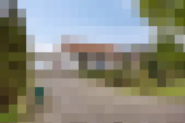 De Peeldijk 11 Aarle-Rixtel thumbnail 66