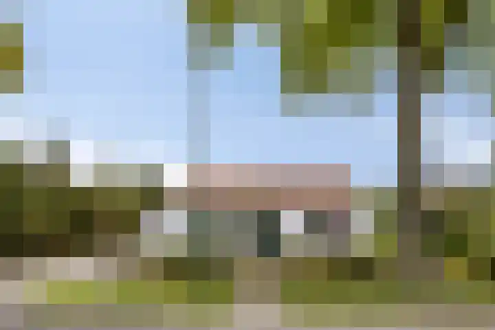 De Peeldijk 11 Aarle-Rixtel thumbnail 8