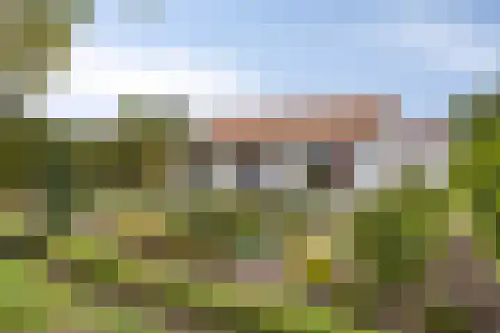 De Peeldijk 11 Aarle-Rixtel thumbnail 9