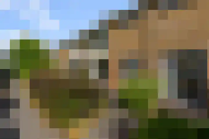 De Peereboomstraat 38 Westzaan thumbnail 25