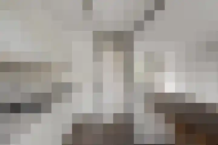 De Peereboomstraat 38 Westzaan thumbnail 5