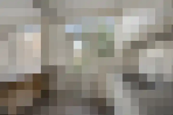 De Peereboomstraat 38 Westzaan thumbnail 7