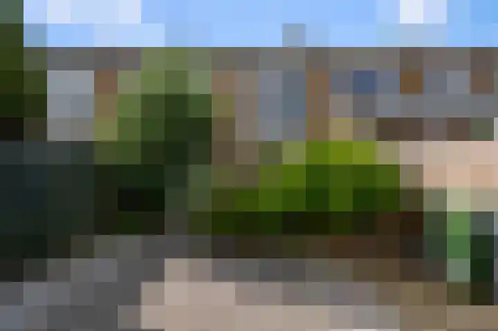 De Peereboomstraat 38 Westzaan thumbnail 8