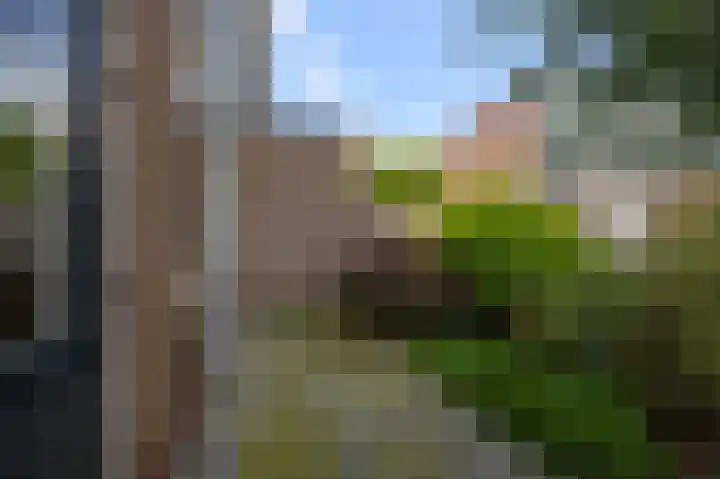 De Peereboomstraat 38 Westzaan thumbnail 9