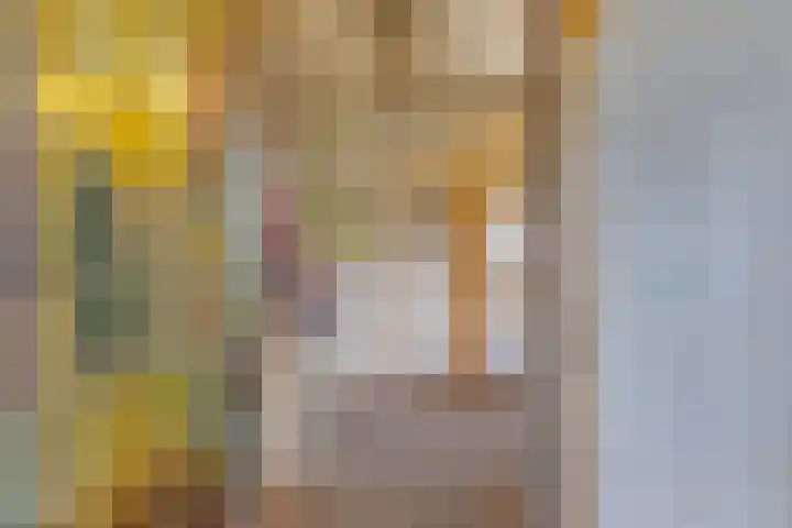 De Peinder Mieden 27 Opeinde thumbnail 12