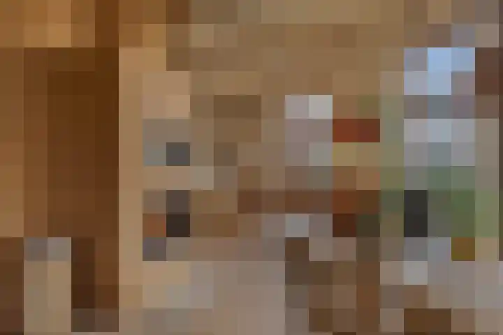 De Peinder Mieden 27 Opeinde thumbnail 20
