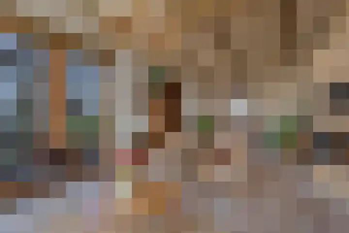 De Peinder Mieden 27 Opeinde thumbnail 23