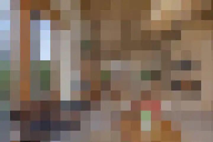 De Peinder Mieden 27 Opeinde thumbnail 25