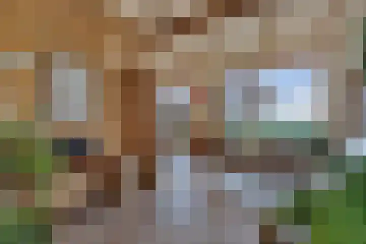 De Peinder Mieden 27 Opeinde thumbnail 26