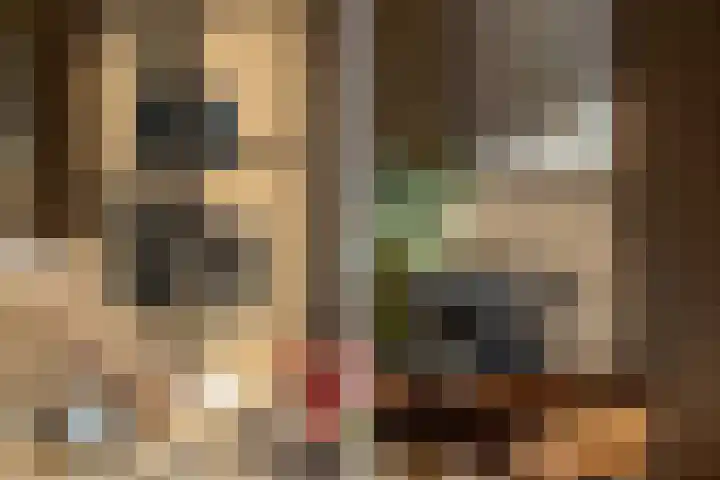 De Peinder Mieden 27 Opeinde thumbnail 27