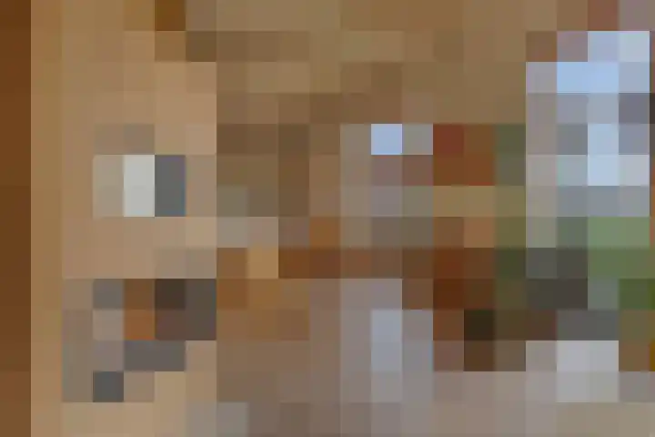 De Peinder Mieden 27 Opeinde thumbnail 29