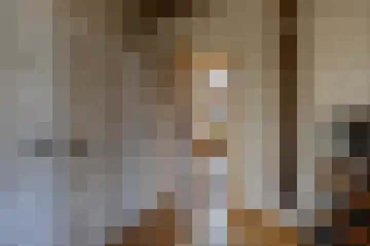 De Peinder Mieden 27 Opeinde thumbnail 30
