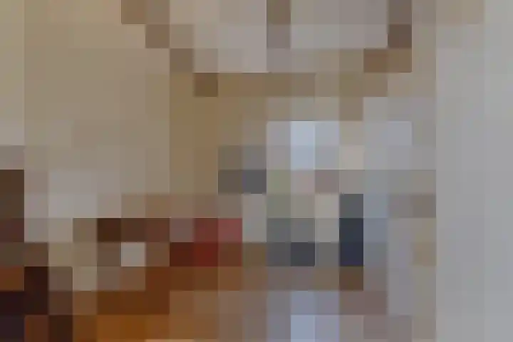 De Peinder Mieden 27 Opeinde thumbnail 31