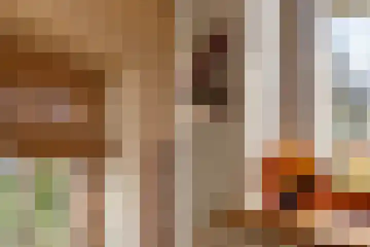 De Peinder Mieden 27 Opeinde thumbnail 37