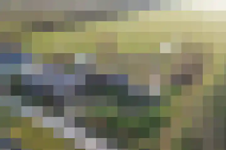 De Peinder Mieden 27 Opeinde thumbnail 4