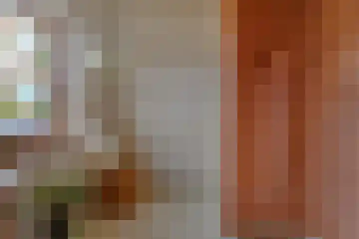 De Peinder Mieden 27 Opeinde thumbnail 41