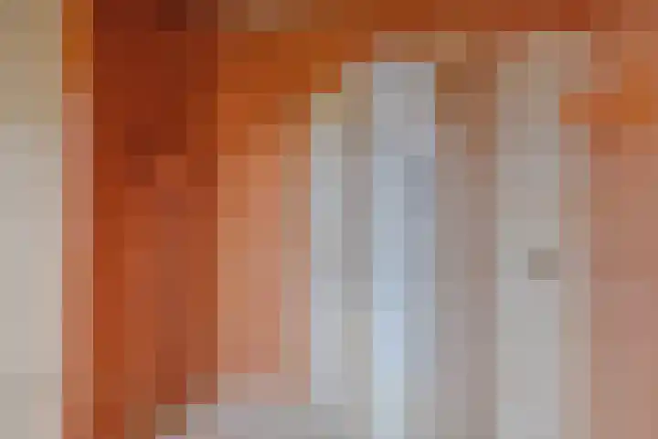 De Peinder Mieden 27 Opeinde thumbnail 42
