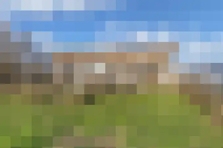 De Peinder Mieden 27 Opeinde thumbnail 44