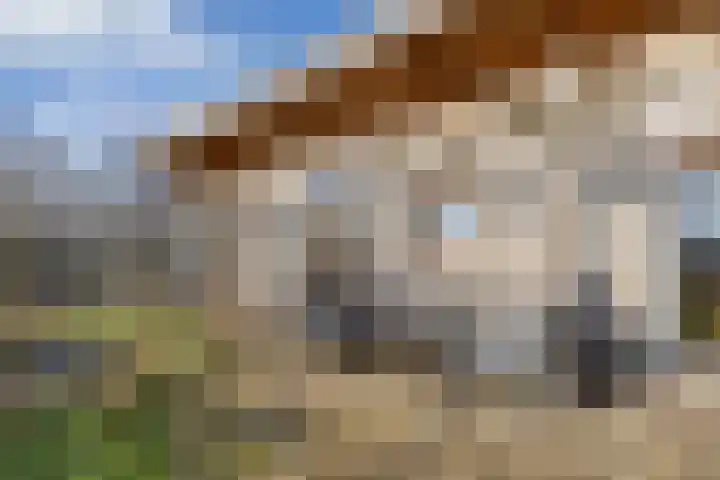 De Peinder Mieden 27 Opeinde thumbnail 45