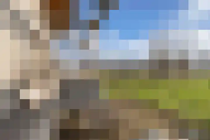 De Peinder Mieden 27 Opeinde thumbnail 46