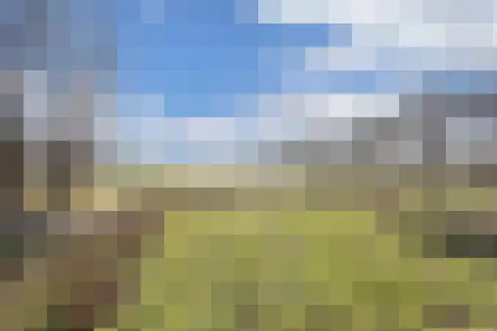 De Peinder Mieden 27 Opeinde thumbnail 47