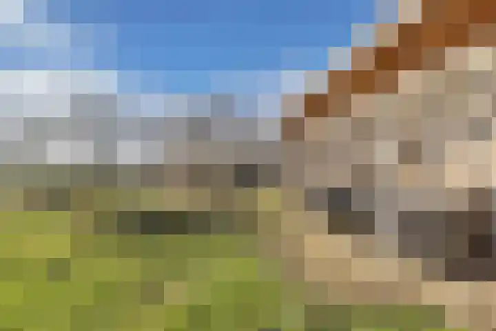De Peinder Mieden 27 Opeinde thumbnail 48
