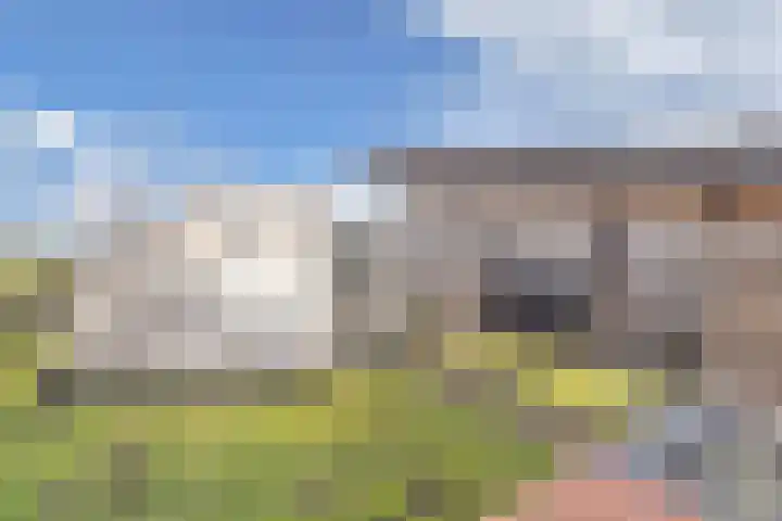 De Peinder Mieden 27 Opeinde thumbnail 50