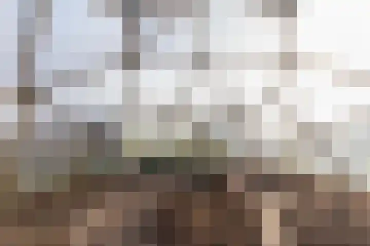 De Peinder Mieden 27 Opeinde thumbnail 51