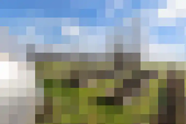 De Peinder Mieden 27 Opeinde thumbnail 52