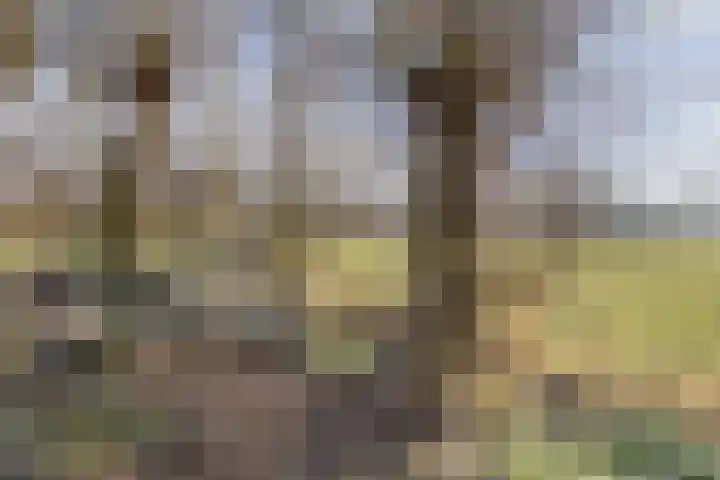 De Peinder Mieden 27 Opeinde thumbnail 53