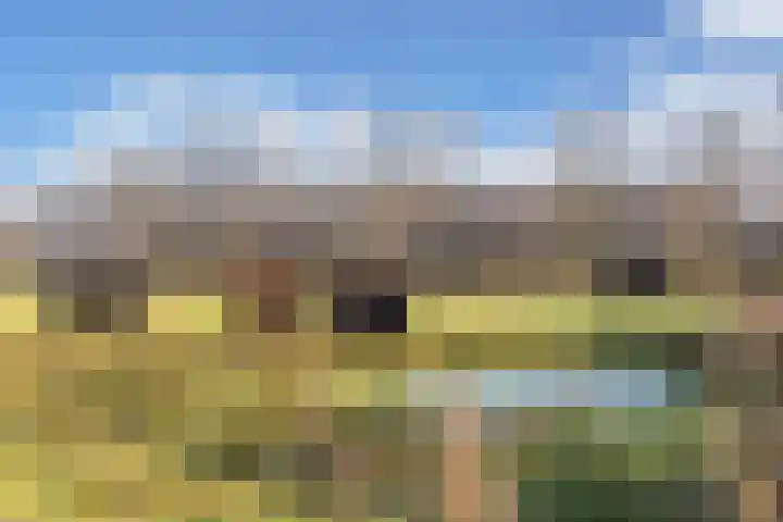 De Peinder Mieden 27 Opeinde thumbnail 54