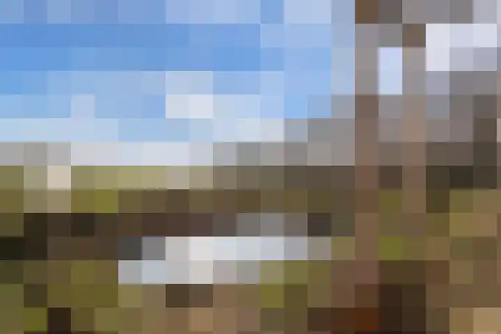 De Peinder Mieden 27 Opeinde thumbnail 55