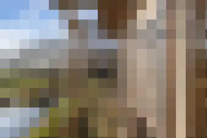 De Peinder Mieden 27 Opeinde thumbnail 56
