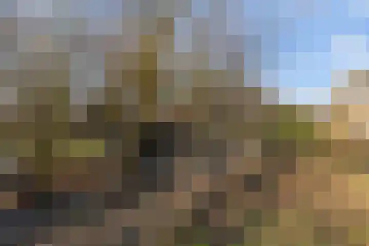 De Peinder Mieden 27 Opeinde thumbnail 59