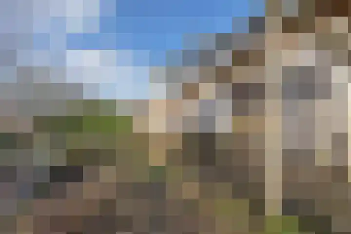 De Peinder Mieden 27 Opeinde thumbnail 60