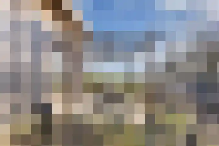 De Peinder Mieden 27 Opeinde thumbnail 61