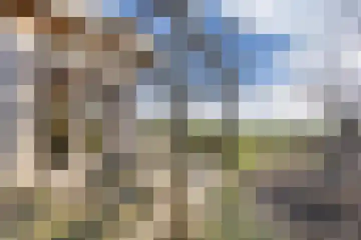 De Peinder Mieden 27 Opeinde thumbnail 62