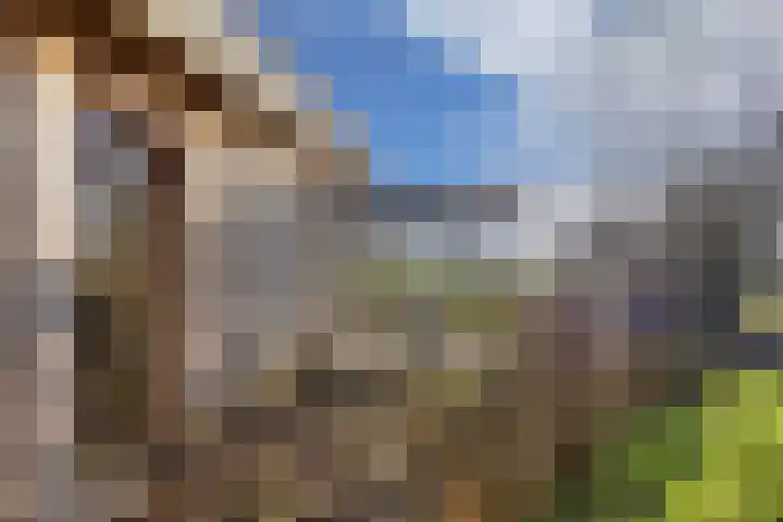 De Peinder Mieden 27 Opeinde thumbnail 63